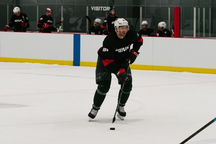 Eric Fehr RINK Hockey Player