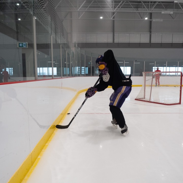 Puck Control